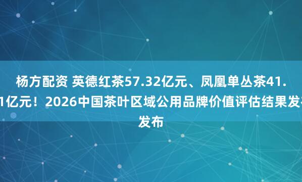 杨方配资 英德红茶57.32亿元、凤凰单丛茶41.41亿元！2026中国茶叶区域公用品牌价值评估结果发布