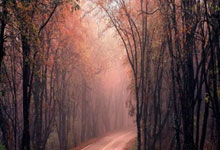 股票交流散户群:股票配资算非法经营罪吗-业绩会变产品交流会？这些科创板机器人公司把业务进展说透了